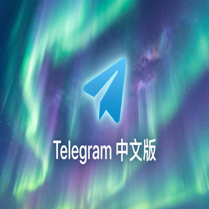 Telegram 汉化版下载安装完整教程，手把手带你搞定 - Telegram 官网